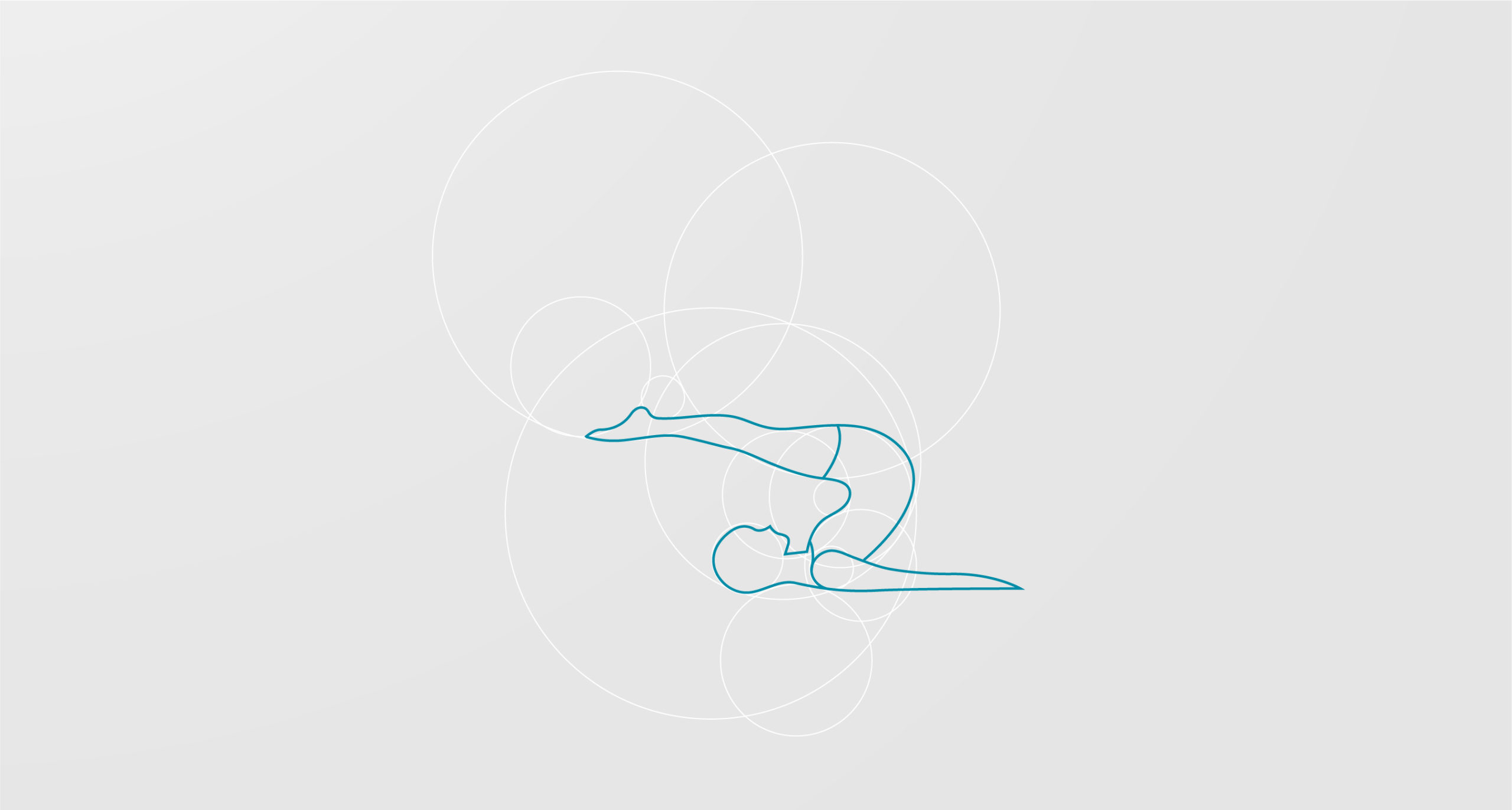 Pilates Tibi communication project by Francesco Belloli Designer Vicenza - logo study